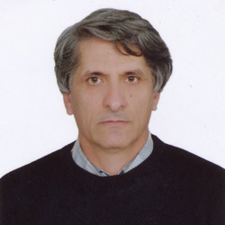 Ahmet Ok